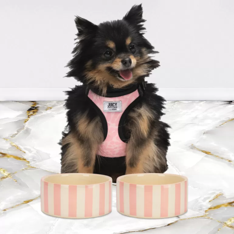 16 Oz Keramisk Skal Set | Juicy Couture Online
