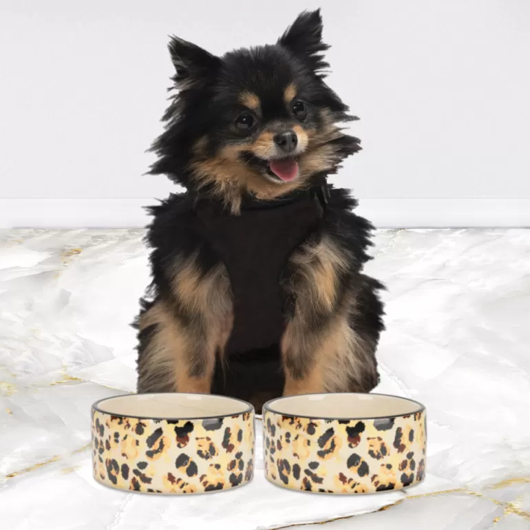 16 Oz Keramisk Skal Set | Juicy Couture Online