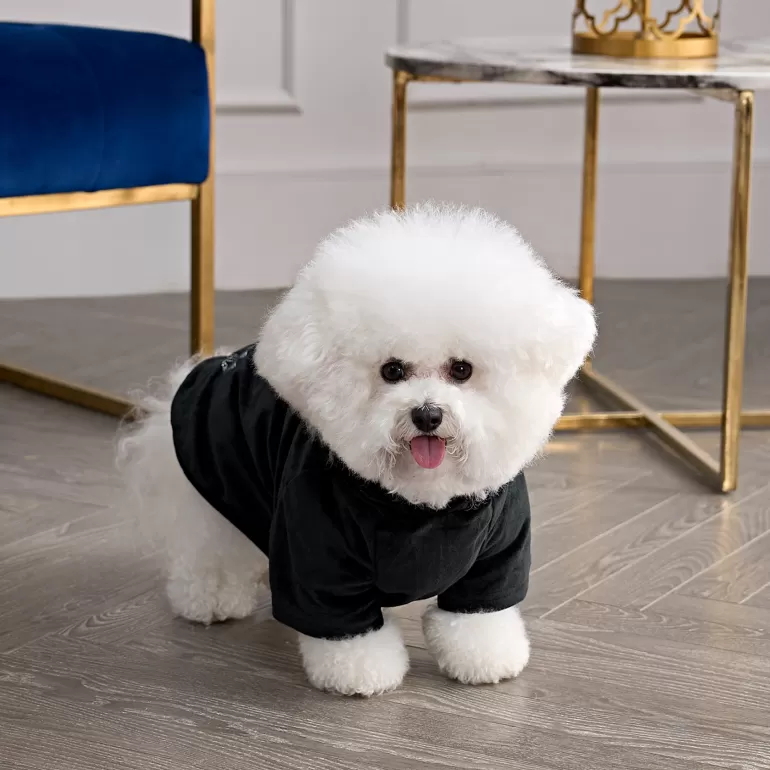 Bling Velour Pet Hoodie | Juicy Couture Shop