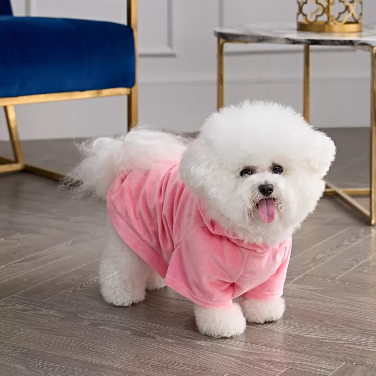 Bling Velour Pet Hoodie | Juicy Couture New