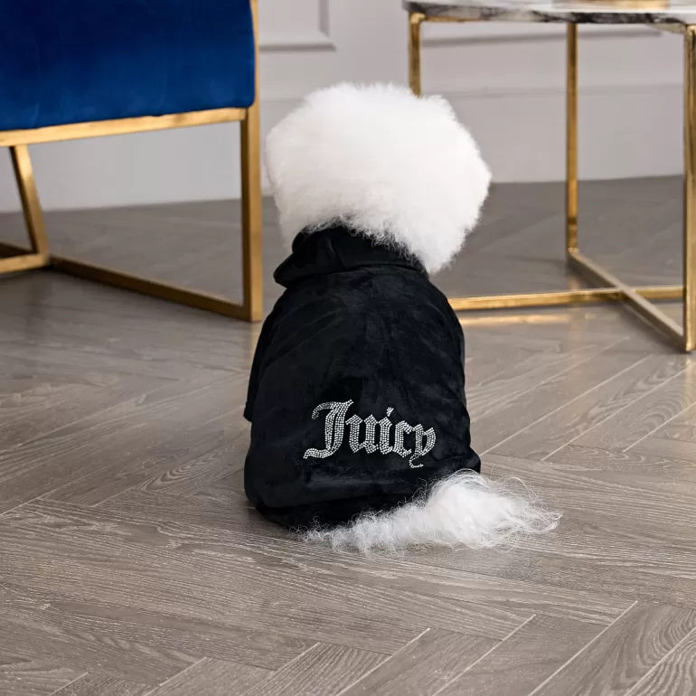 Bling Velour Pet Hoodie | Juicy Couture Shop