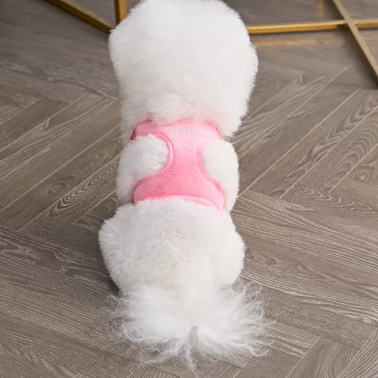 Bling Velour Pet Sele Och Koppel Set | Juicy Couture Outlet