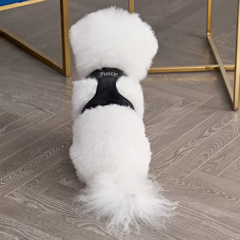 Bling Velour Pet Sele Och Koppel Set | Juicy Couture Discount