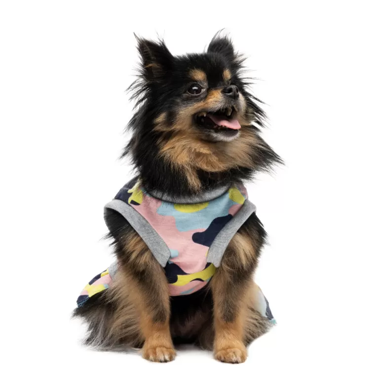 Cheer Pet Dress | Juicy Couture Cheap