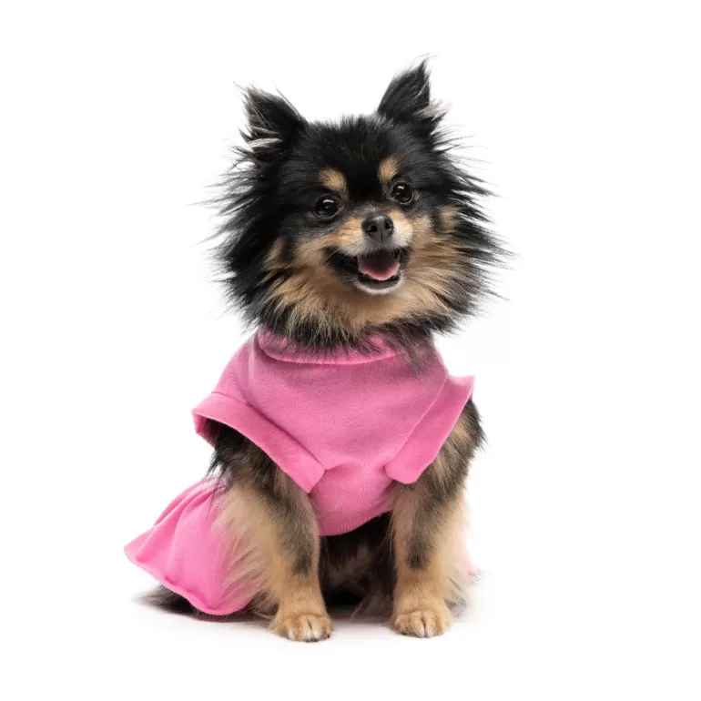 Cheer Pet Dress | Juicy Couture Best