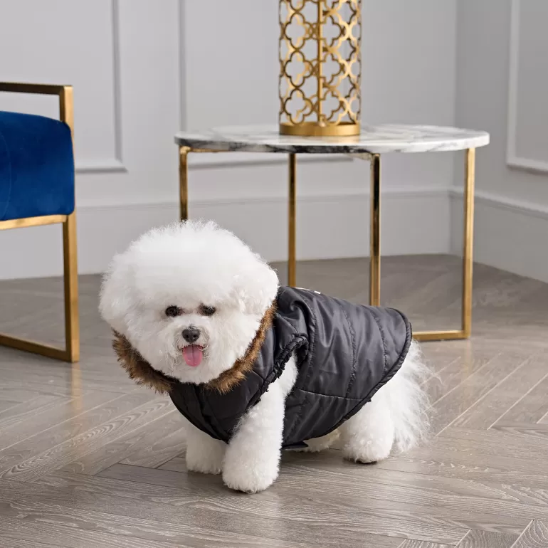 Pet Jacka Med Luva I Fuskpals | Juicy Couture Hot