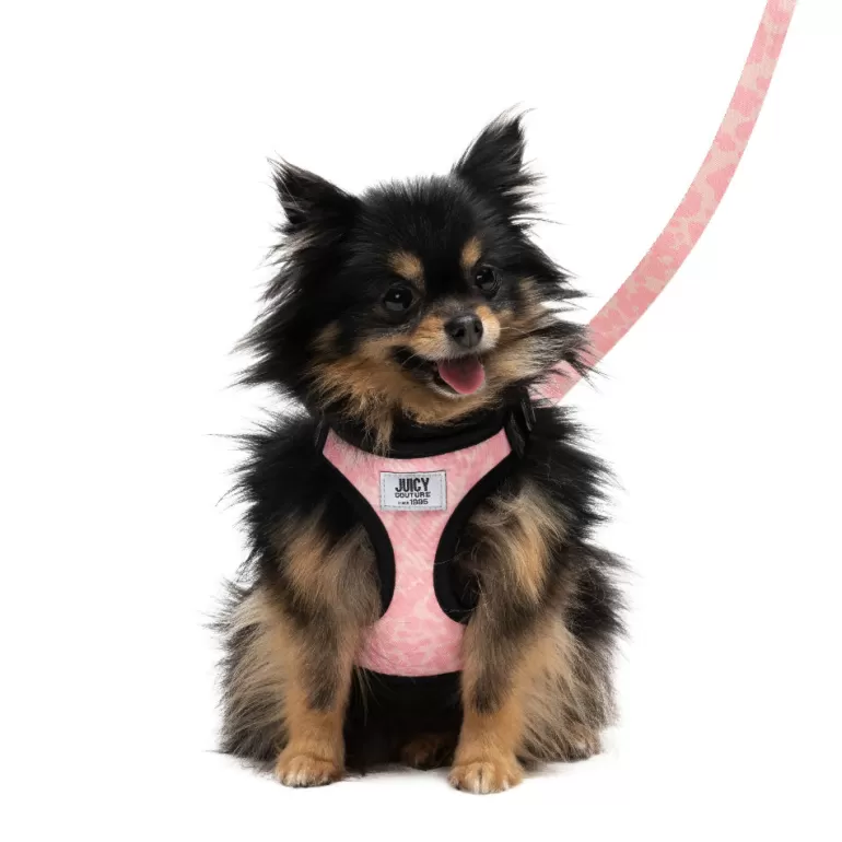 Sele & Koppel Set | Juicy Couture Sale