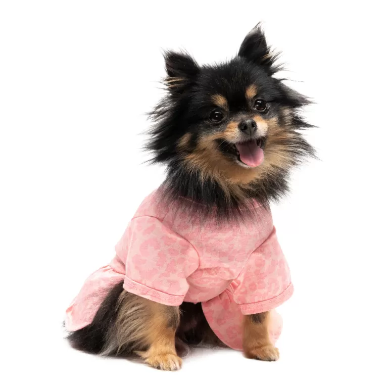 Tyll Pet Dress | Juicy Couture Shop