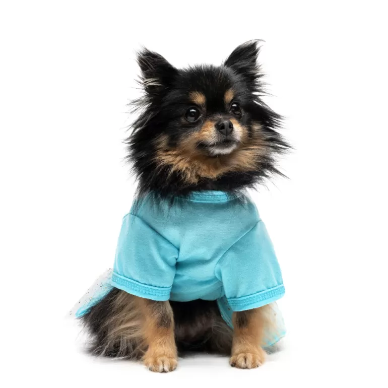 Tyll Pet Dress | Juicy Couture Hot
